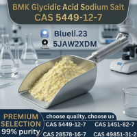 High-Purity BMK Glycidic Acid (Sodium