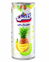 Golshan Canned Fruit Juice Pulpy Flavored