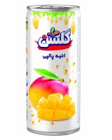 Golshan Canned Fruit Juice- Pulpy (5