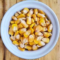 Natural Dried Yellow Maize Grain Non