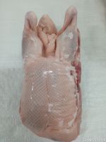 Frozen Whole Duck - Halal Certified