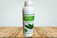 &Oslash;&sup3;&Ugrave;Š&Ugrave;„&Ugrave;Š&Ugrave