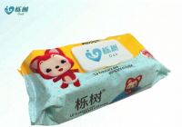 Baby Wet Wipes