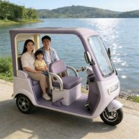 Electric Tricycle