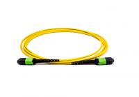 MPO/MTP Patchcord