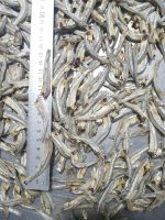 Anchovies Dried Fish