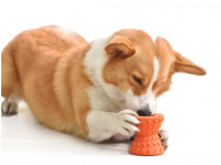 Interactive Dog Toy