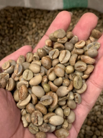 Robusta Coffee Beans