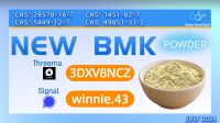 Buy BMK Glycidic Acid Sodium Salt CAS 5449-12-7 Powder | 99% High Purity Factory Direct Wholesale Supply