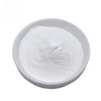 Rennet Enzyme Dairy Processing Grade 25kg Drum
