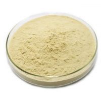 DTPA Chelated Iron Micronutrient 25kg Bag