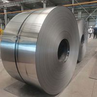 Galvanized Steel Coil 0.5mm Thickness