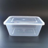 Disposable PP Food Container 500ml Food