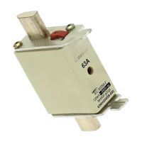 NH00 GG Fuse 63A 500VAC IEC