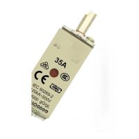 NH00 GG Fuse 32A 500VAC IEC