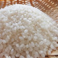 Egyptian Short Grain Rice 25kg
