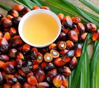 Refined Palm Kernel Oil Food Grade