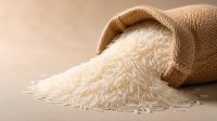Premium Basmati Rice