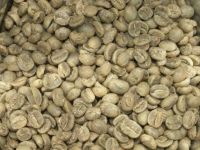 https://cn.tradekey.com/product_view/Export-Green-Coffee-Beans-Green-Coffee-Bean-Importer-Green-Coffee-Beans-Buyer-Buy-Green-Coffee-Beans-Green-Coffee-Bean-Wholesaler-Green-Coffee-Bean-Manufacturer-Best-Green-Coffee-Bean-Exporter-Low-Price-Green-Coffee-Beans-Best-Quality-Gre-490269.html
