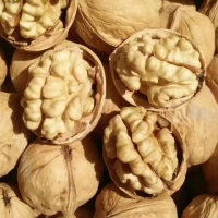 Walnuts Kernels