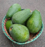 Hass Avacado
