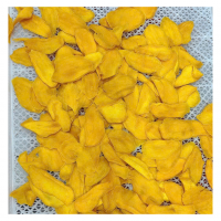 Vietnam Dried Mango From Carefully Selected Fresh Mango Fruit For Bakery Applications, Retail Sales And Ingredient Supply
