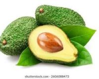 FRESH AVOCADOS