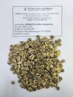 Robusta Green Coffee Bean R1, S18