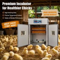 Egg Incubator Hatching