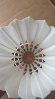 Premium Goose Feather Shuttlecocks - Lingmei & Custom Branded OEM/ODM