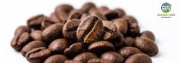 Premium Indonesian Green Coffee Beans - Specialty
