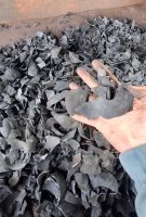 Coconut Shell Charcoal