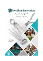 Spurs Stainless Steel, German Steel Stirrup