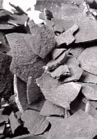 Coconut Shell Charcoal