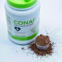 Sugar-Free Meal Replacement Powder - High