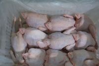 Frozen Whole Chicken & Chicken Parts