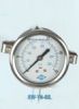 Aseismatic Pressure Gauge