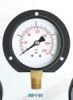 General Pressure Gauge