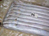 Frozen Ribbon Fish Whole