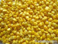 FROZEN SWEET CORN KERNELS