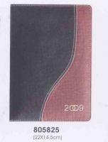 Diary Notebook 2