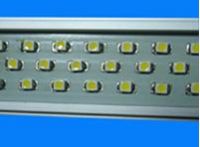 T8------LED Fluorescent Lamp