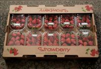 Salsabeel Strawberries