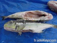 Globefish