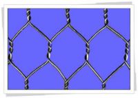 Hexagonal Wire Netting