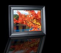 15  Inch Digital Photo Frame