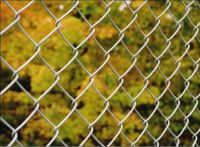 Stainless steel wiremesh