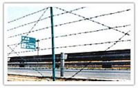 Barbed Iron Wire