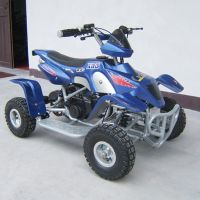 atv, mini quad, pocket bike, dirt bike, motor