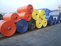 PE Roll Goods , PE Tarpaulin, PE